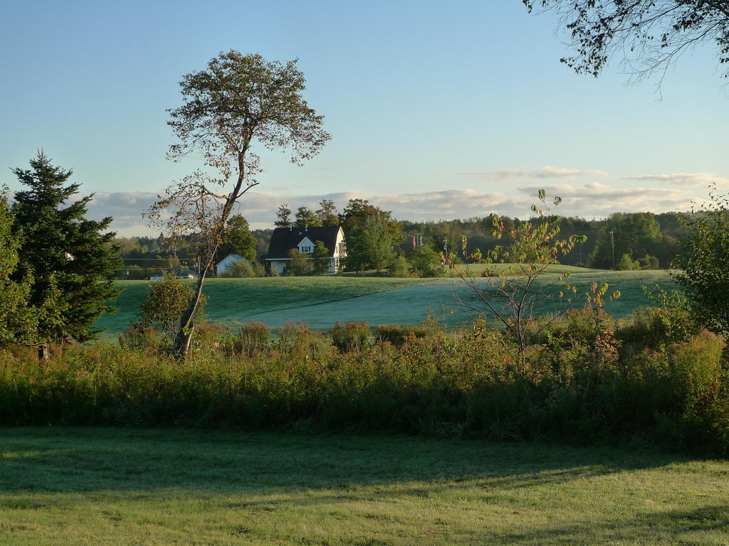 Forest Haven Inn Tatamagouche Zewnętrze zdjęcie